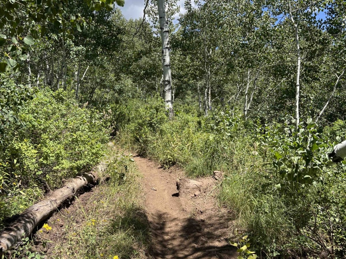 Mill Canyon (2040) photo 6