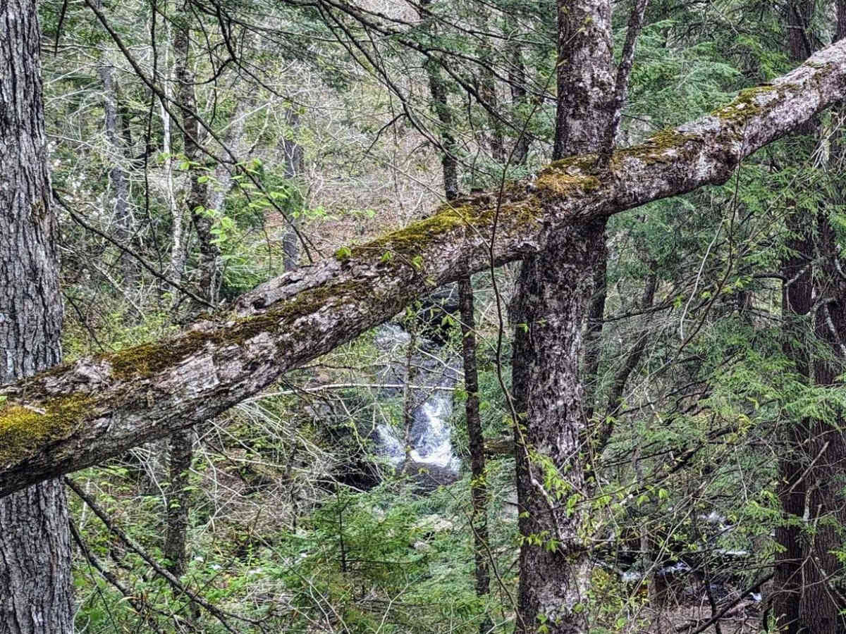 Risky Ranch Road (VT TR 302) photo 2