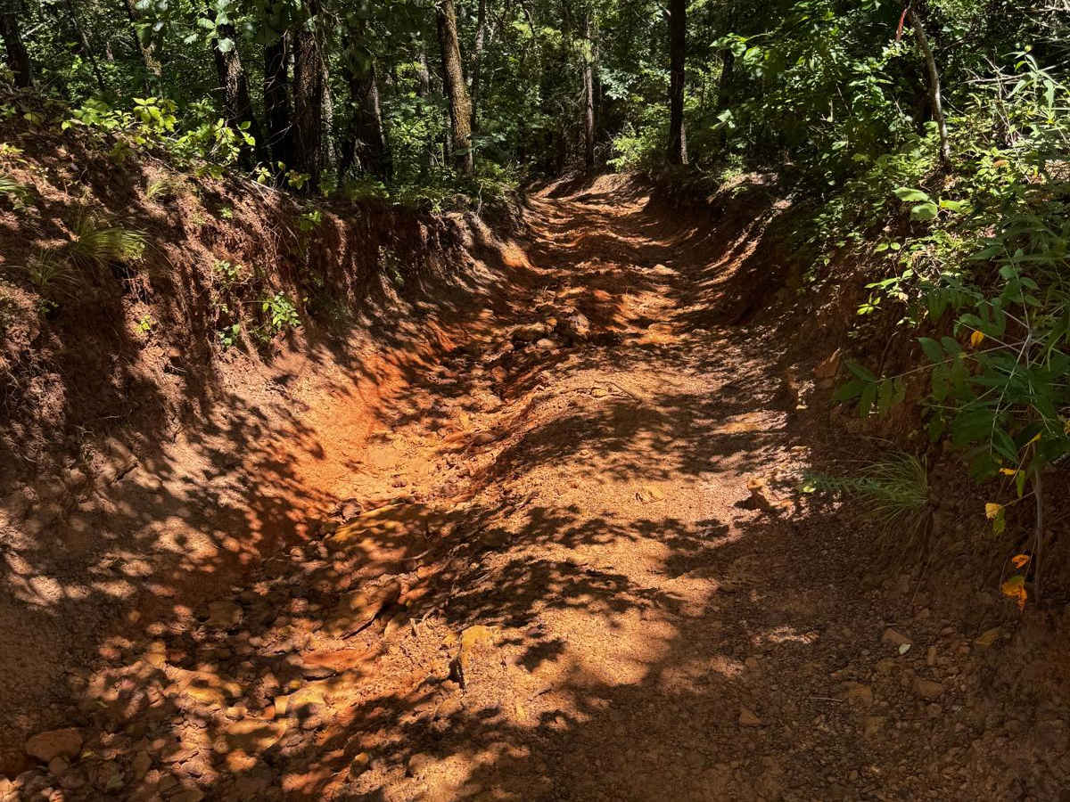 Greenlane trail photo