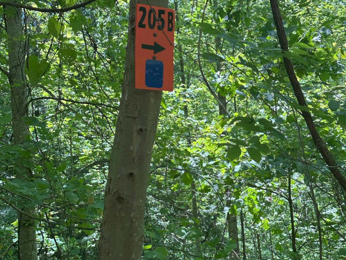 205A trail photo