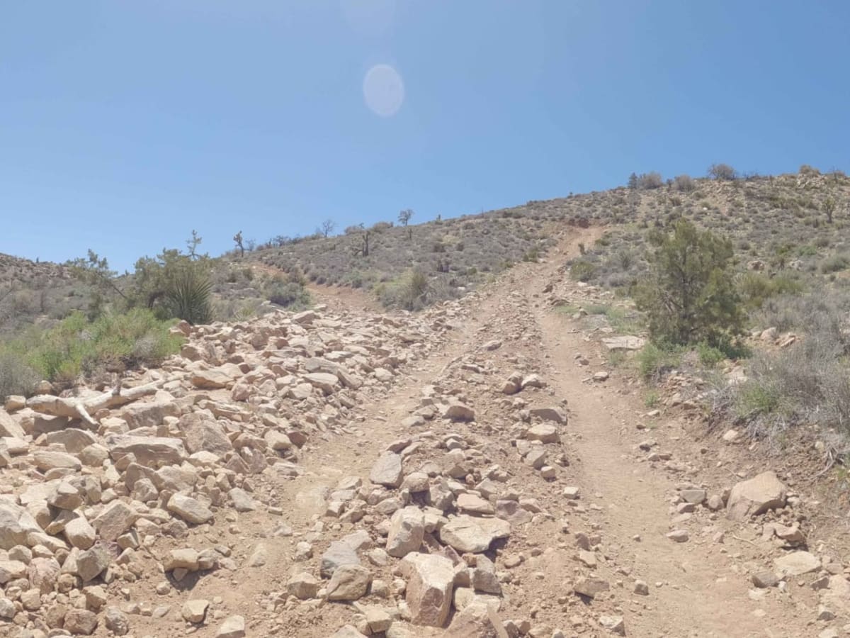 BLM C2340 photo 3