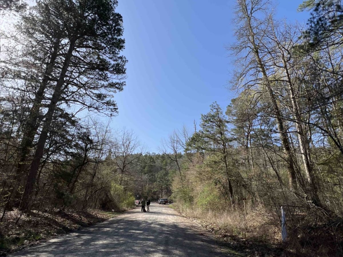 Old Six 6 trail photo