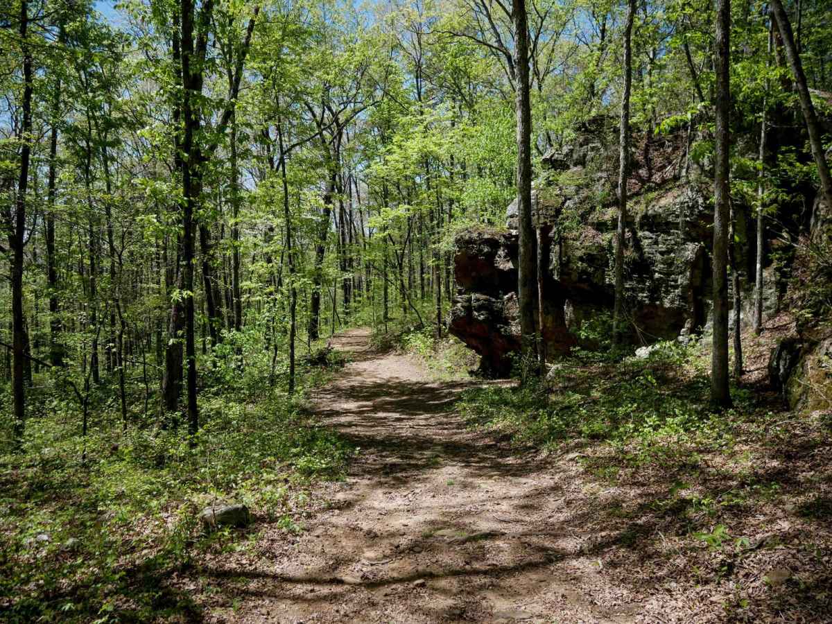 Brock 25 trail photo