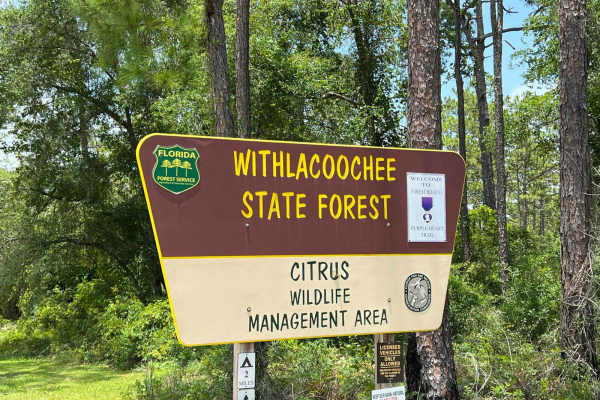Citrus Wildlife Management | Trail 13