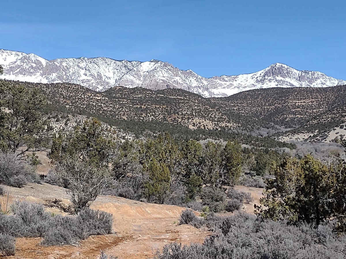 Leeds Creek - Cottonwood Vista Loop photo 6