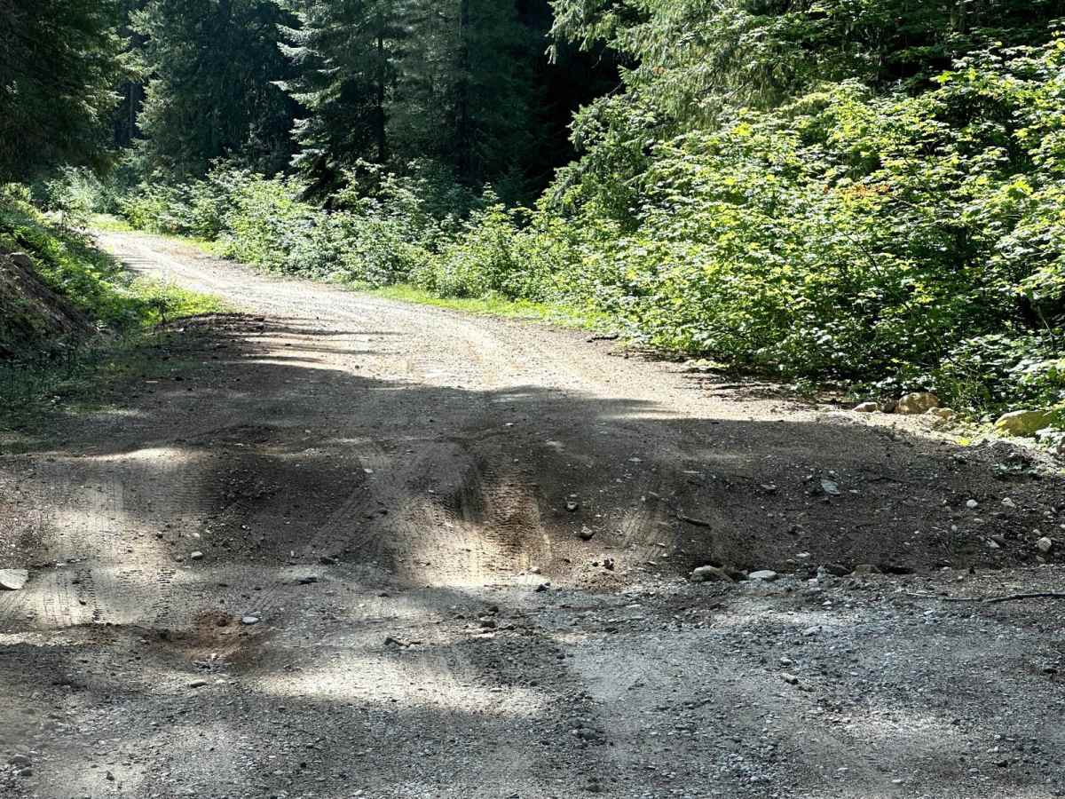 Wenatchee Ridge Overlook Trail photo 3