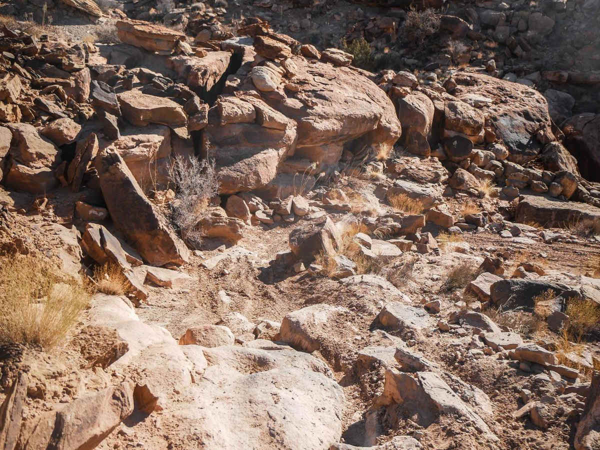 Salt Wash Single Track photo 4