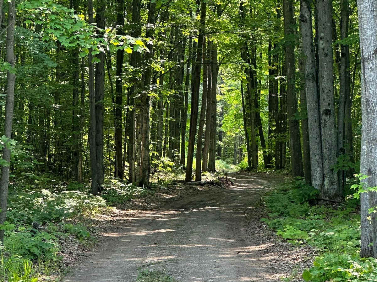 State Road trail photo