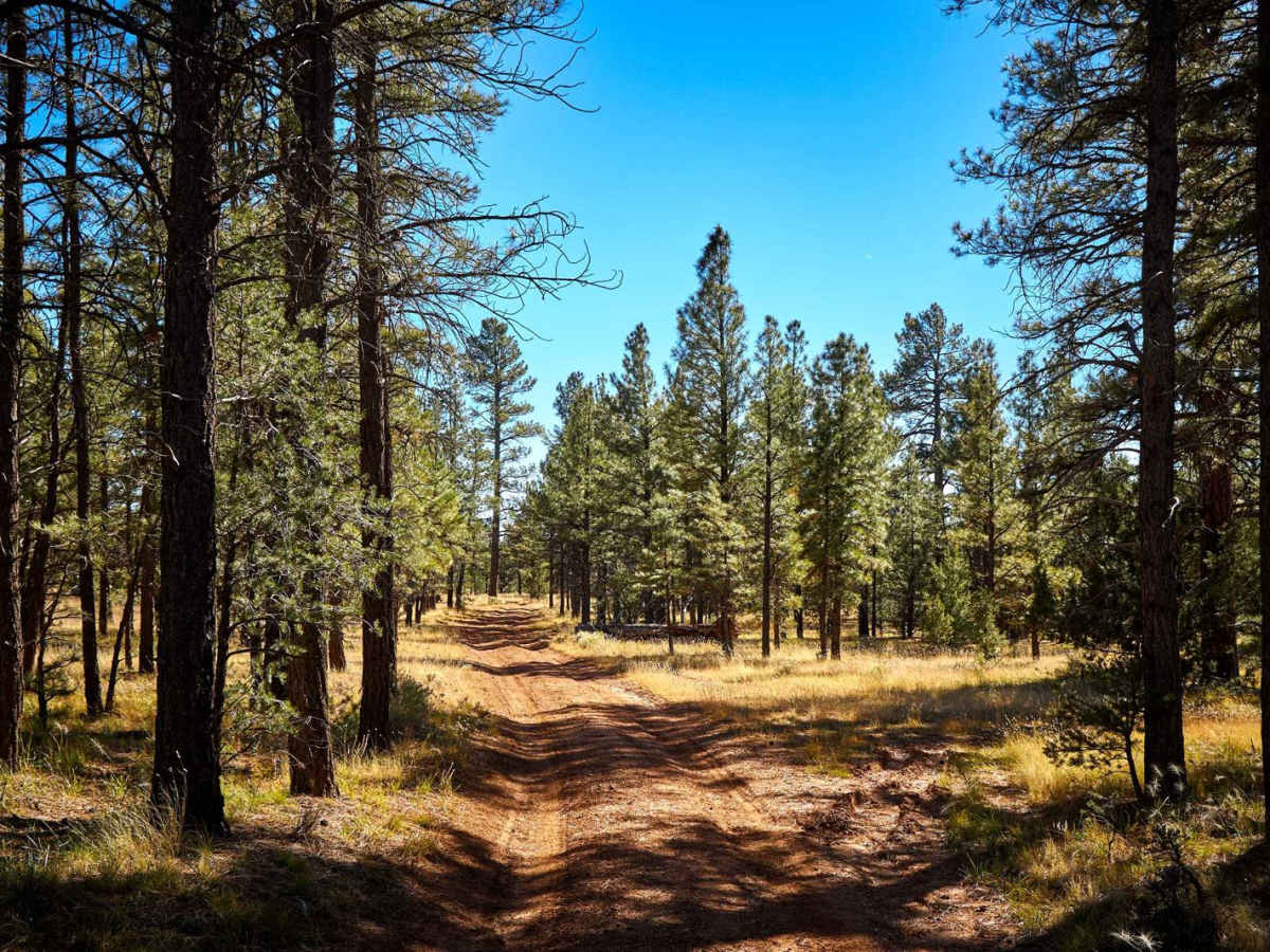 Old Road 2741 photo 2
