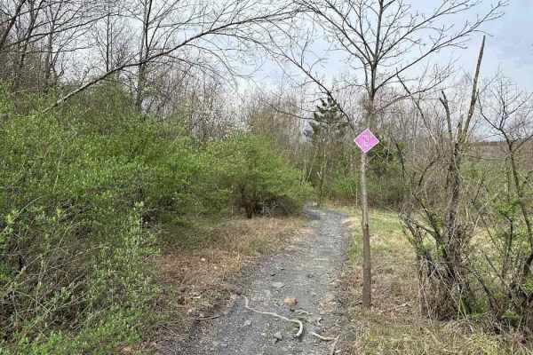 St. Keirns Single Track 4 - West