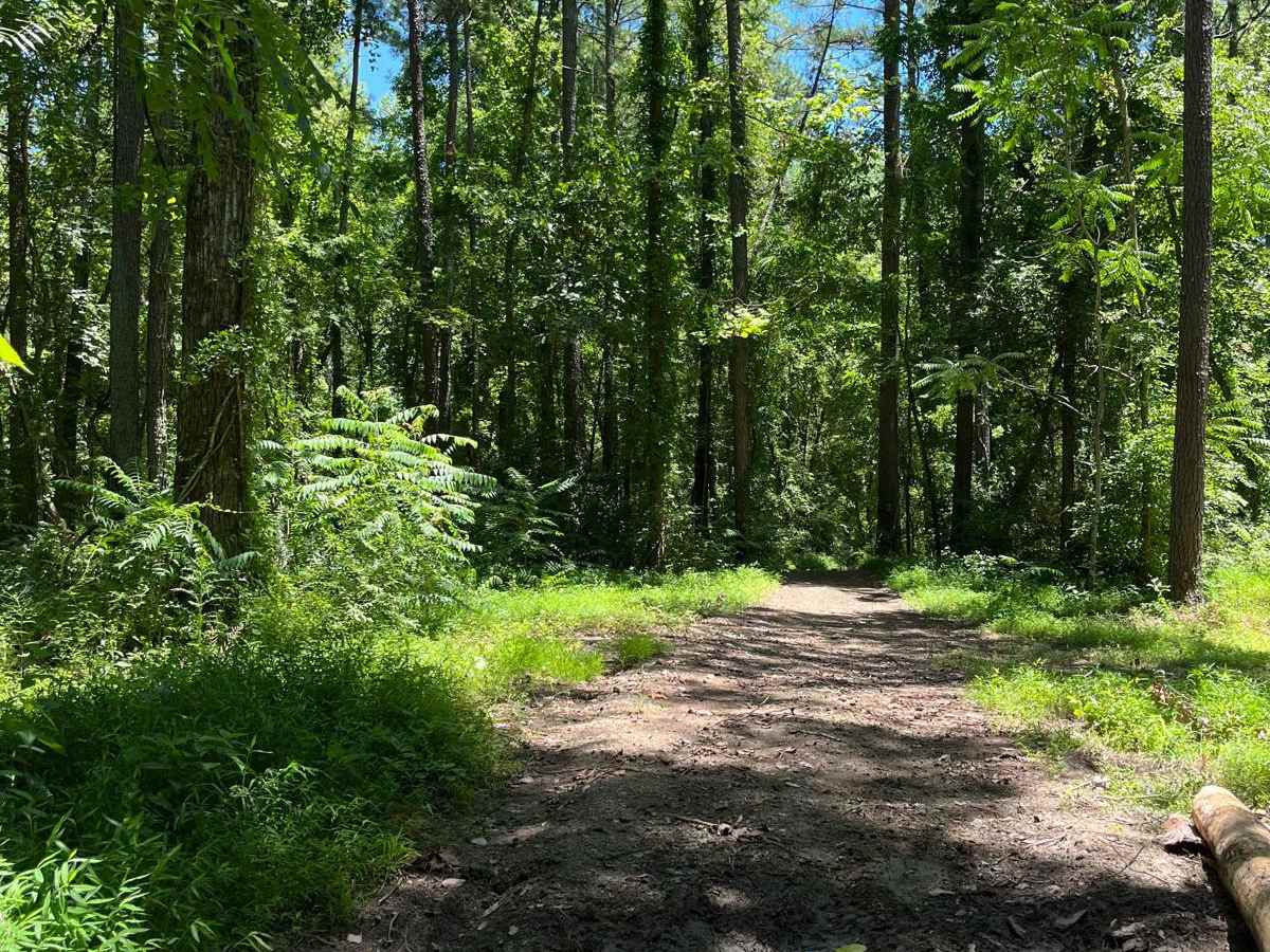 Old Boundary Trail photo 6