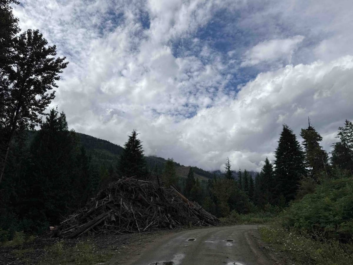 East Perry photo 6