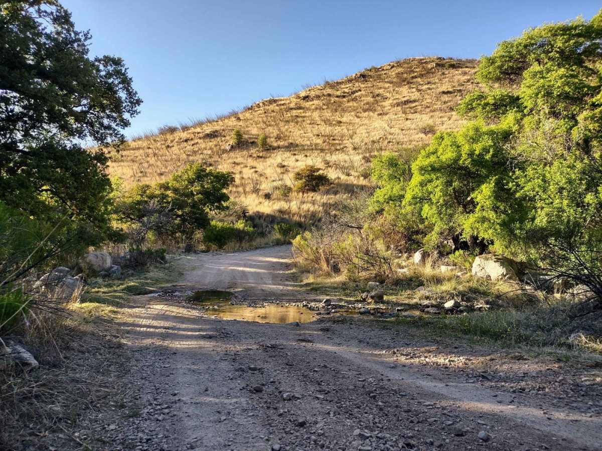 Forest Road 183 photo 4