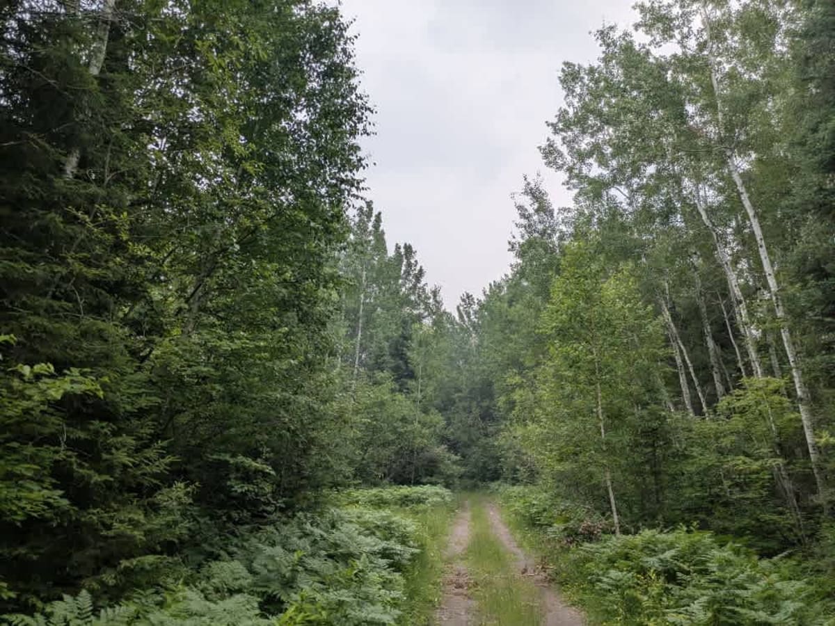 Stony Lookout photo 3