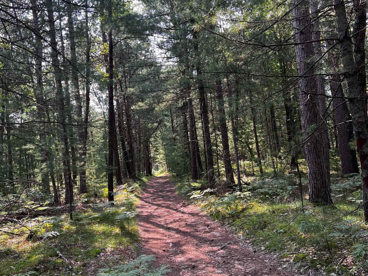 Tight Twiddler Trail photo 2