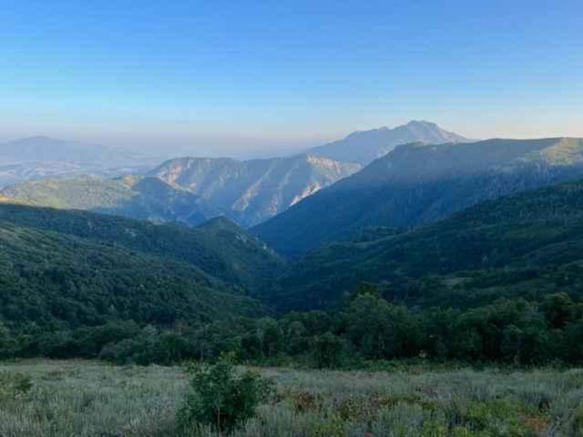Coldwater Peak (6087) photo 4