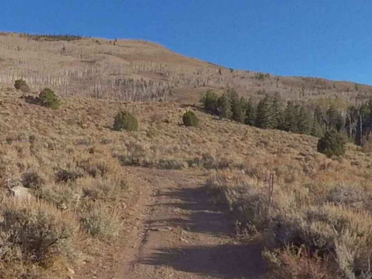 Forshea Mountain South photo 2