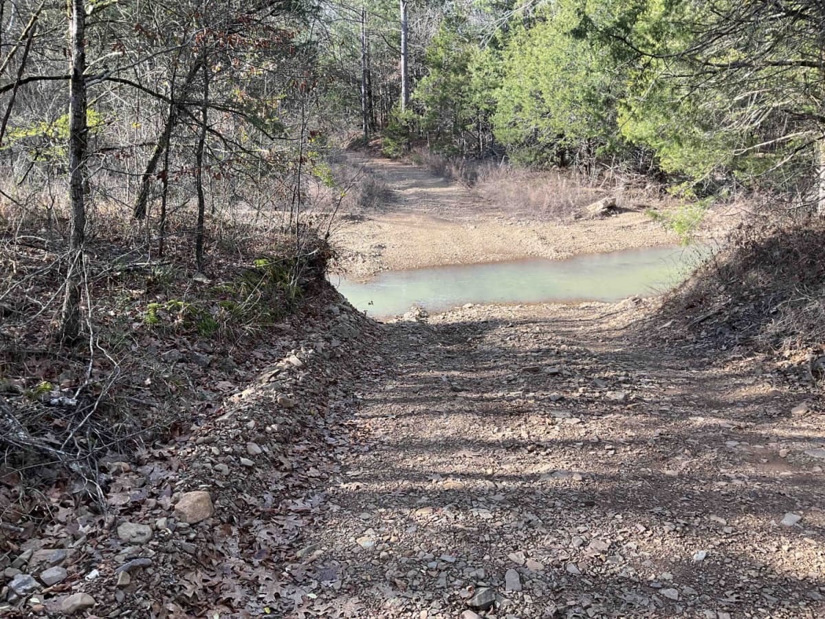 Merie Conser Trail (FS 6061) trail photo