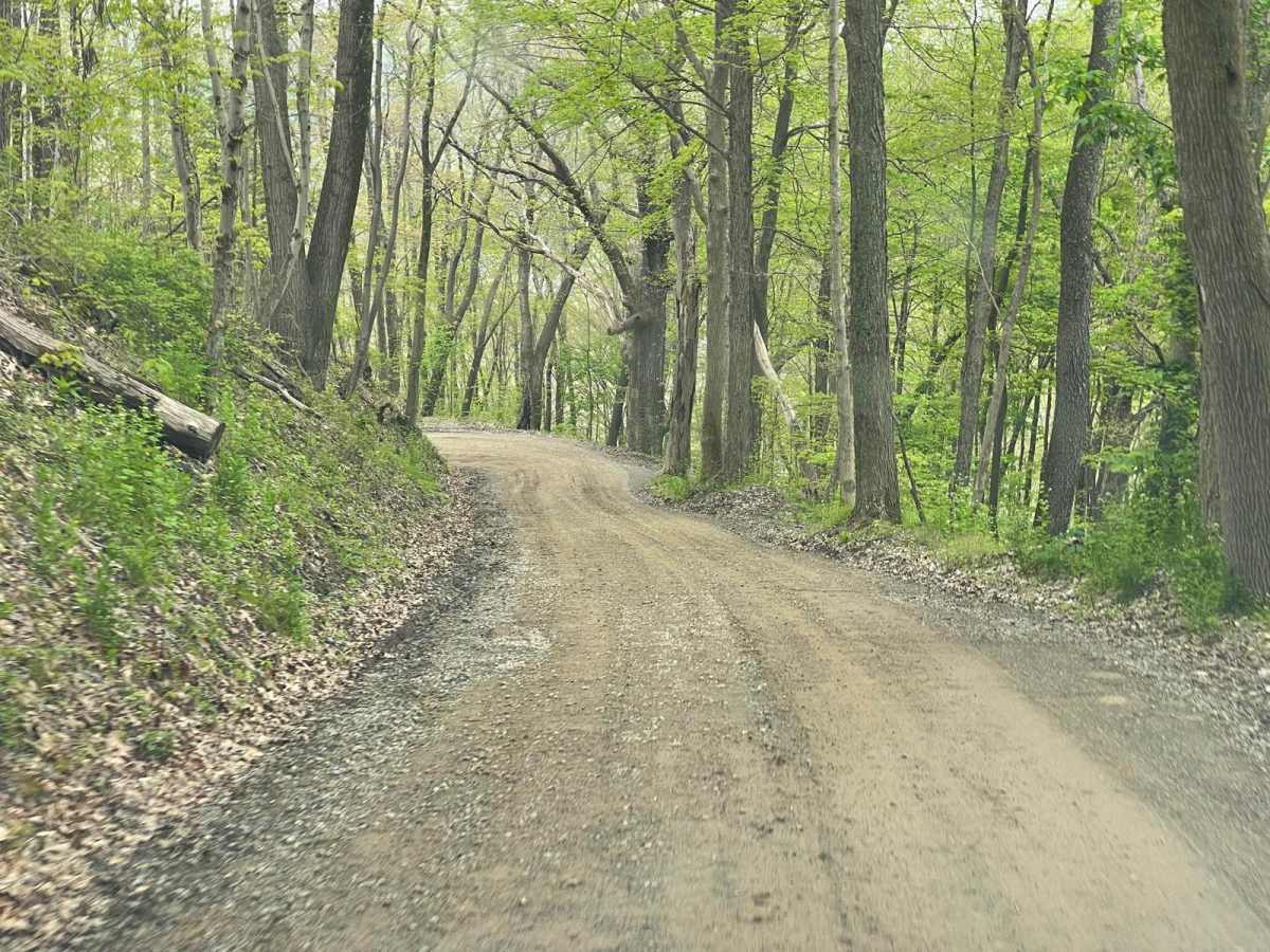 Batnest Loop photo 2