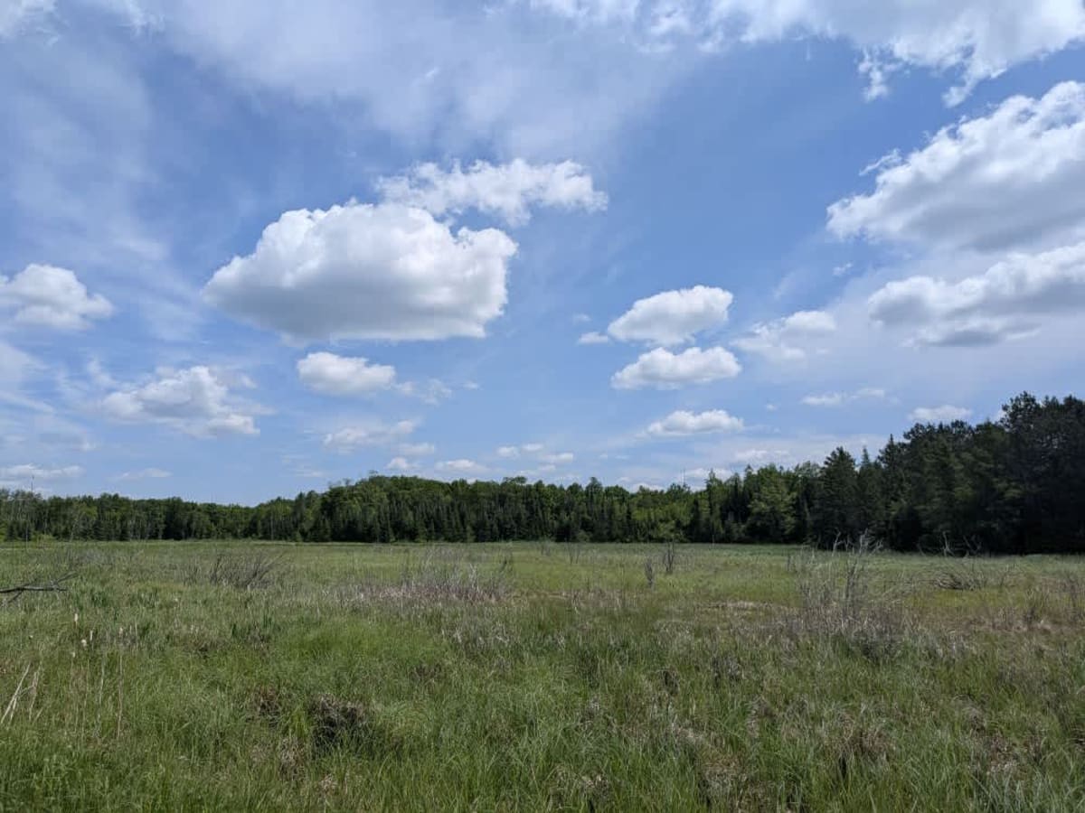 County Road 243 photo 6