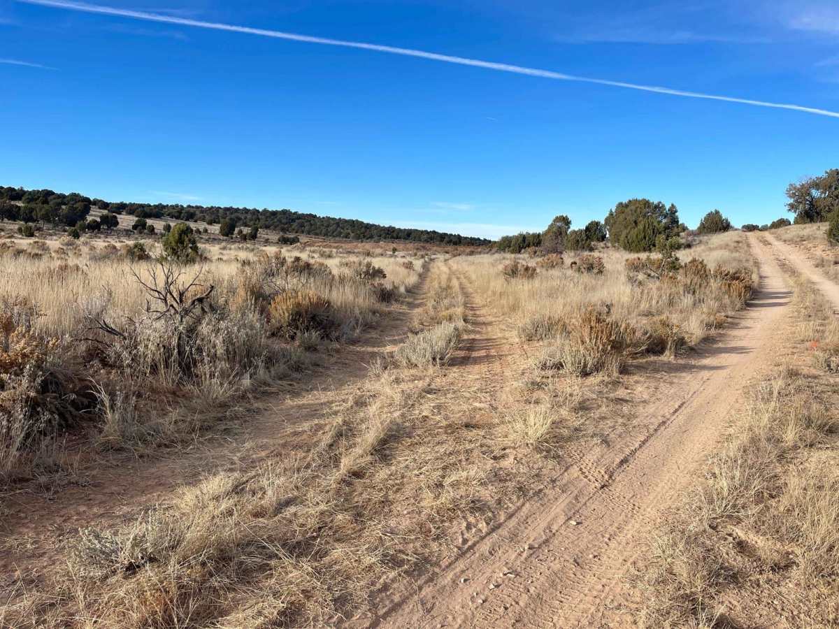 Shoebuckle Road 1059 photo 3