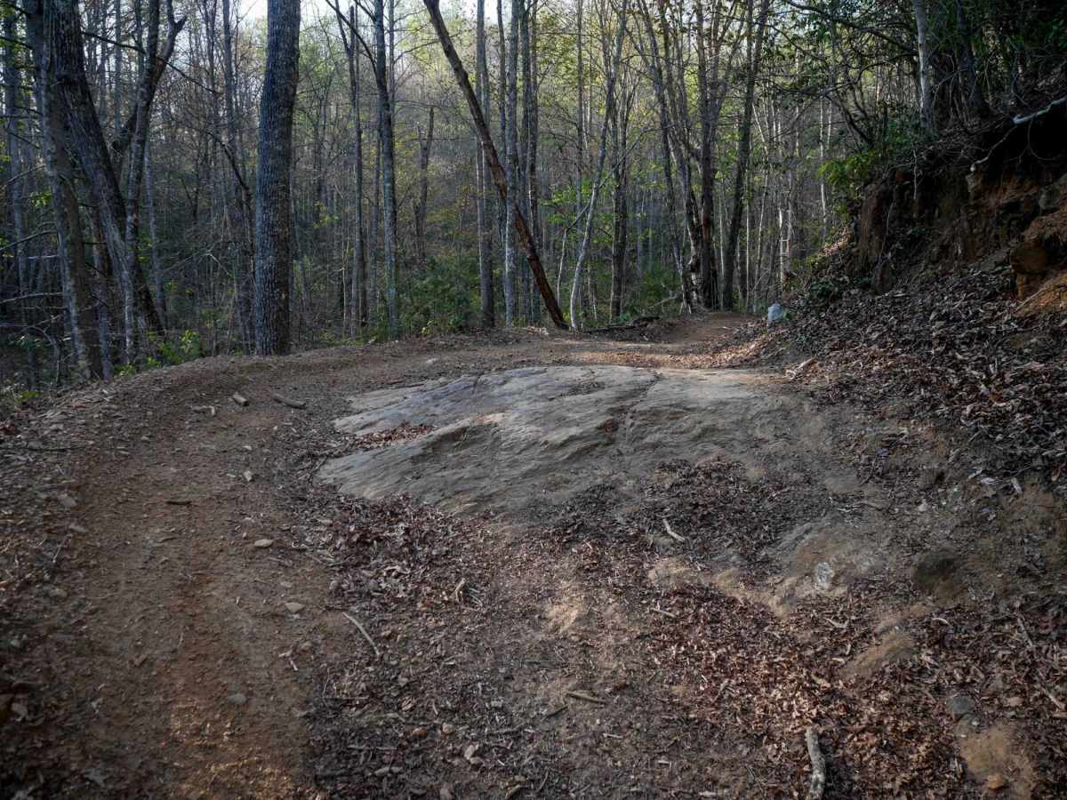 Blanton Branch Trail 10 trail photo