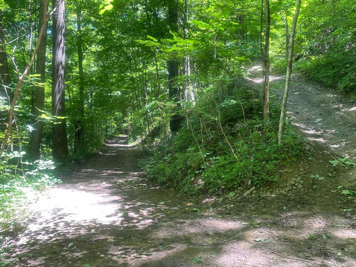 Trail 1 trail photo