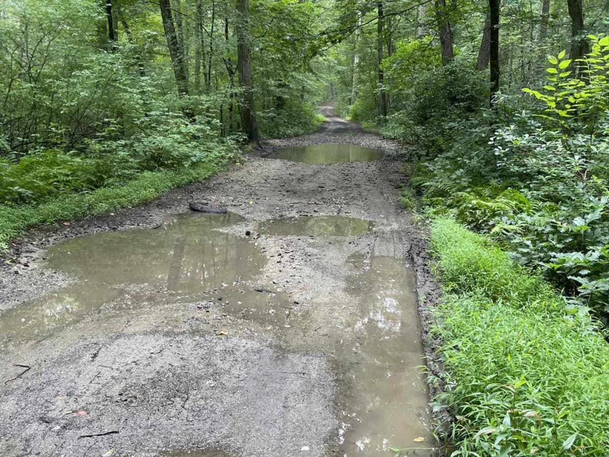 Tower Hill Road to Spruce Ledge Road photo 4