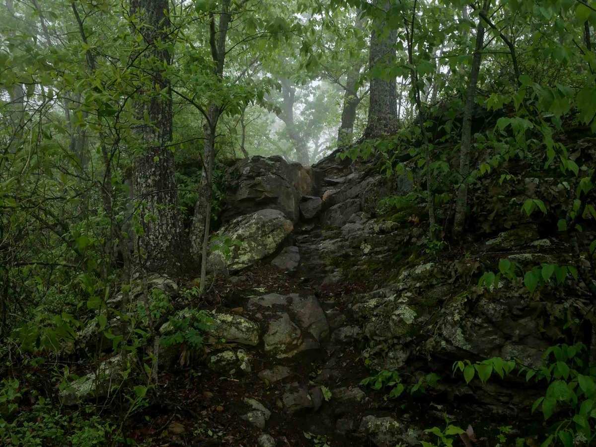 RH 199 photo 6