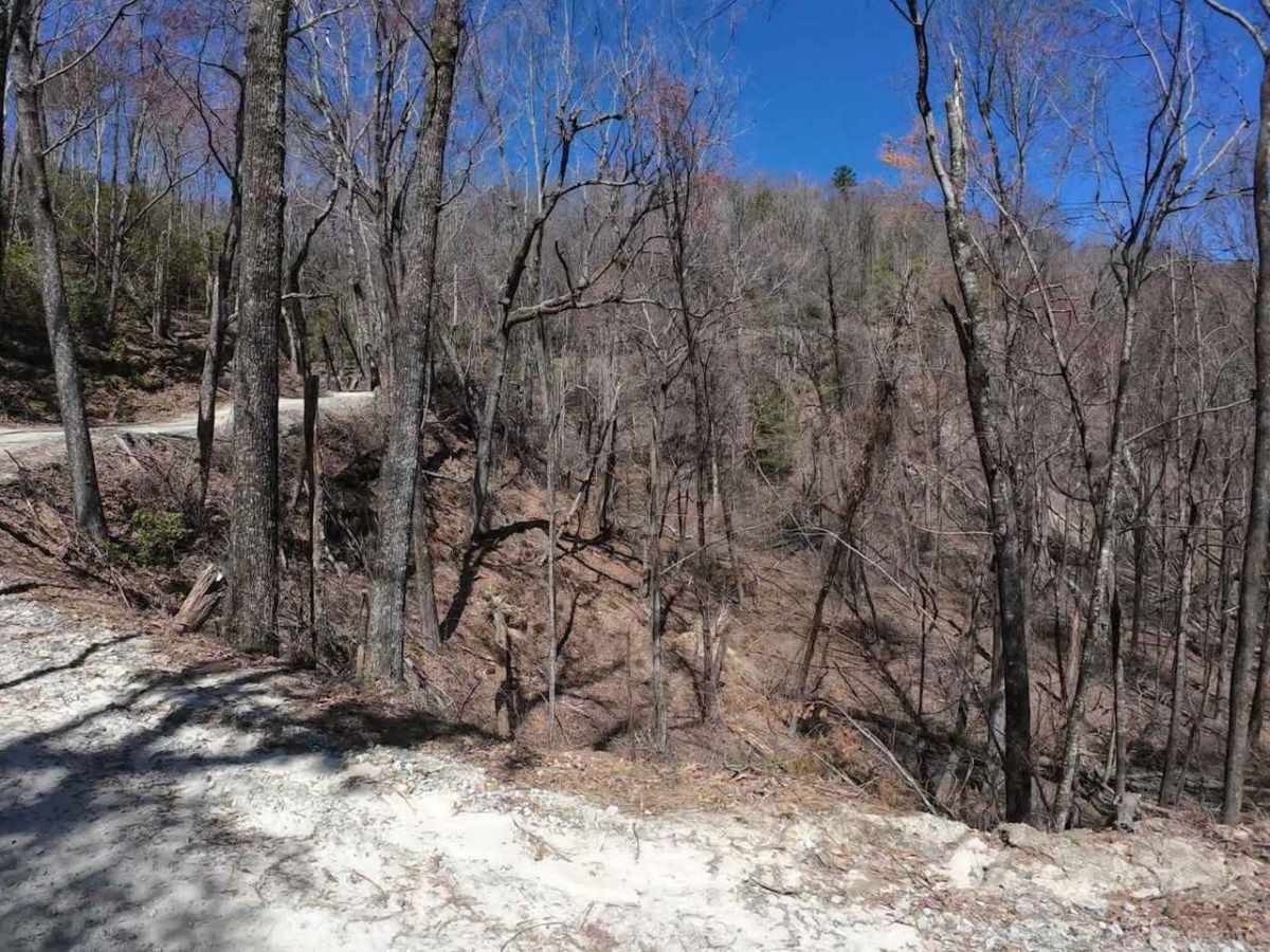 Canebrake Road photo 4