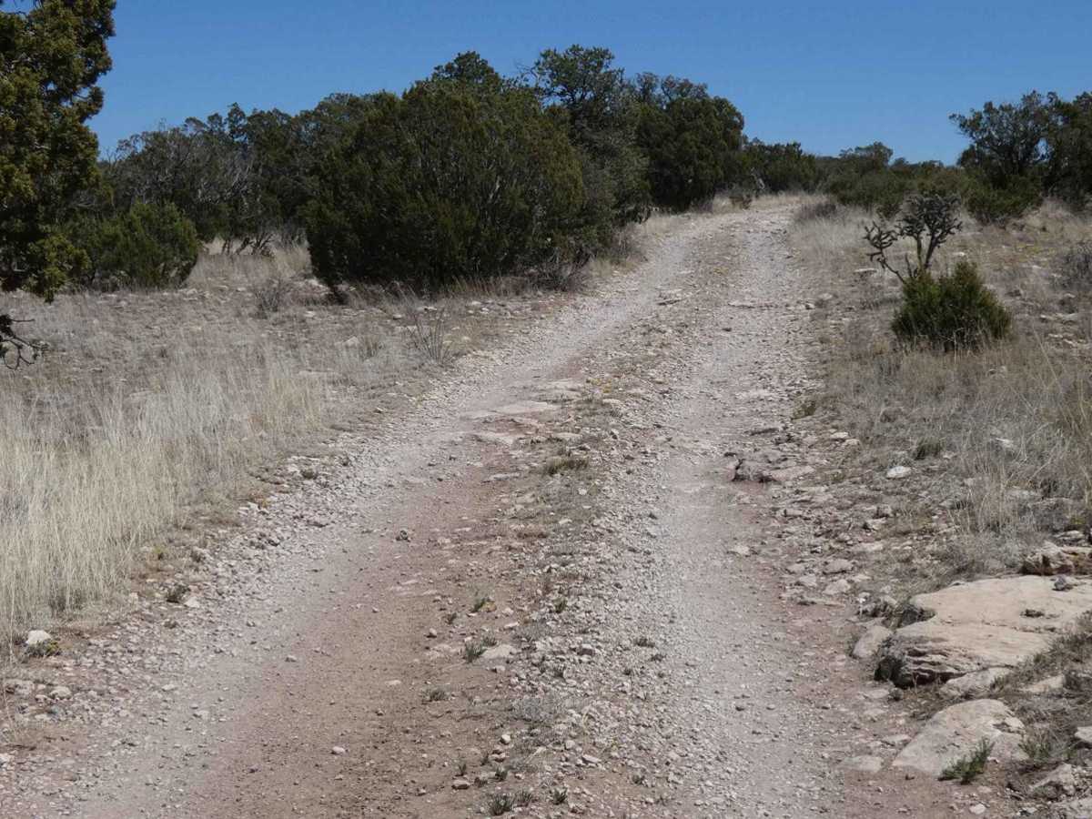 Wildhorse photo 2