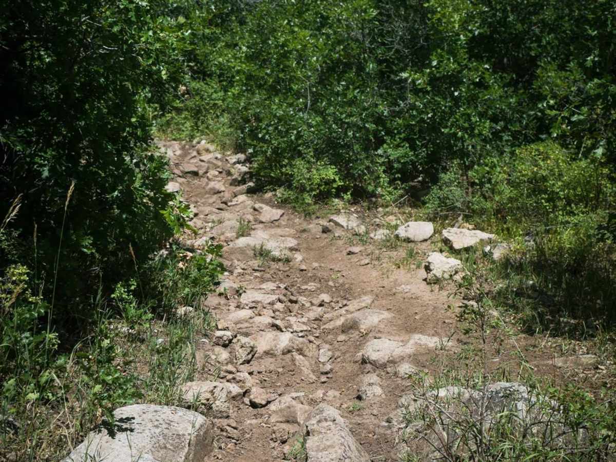 Ramparts Loop photo 5