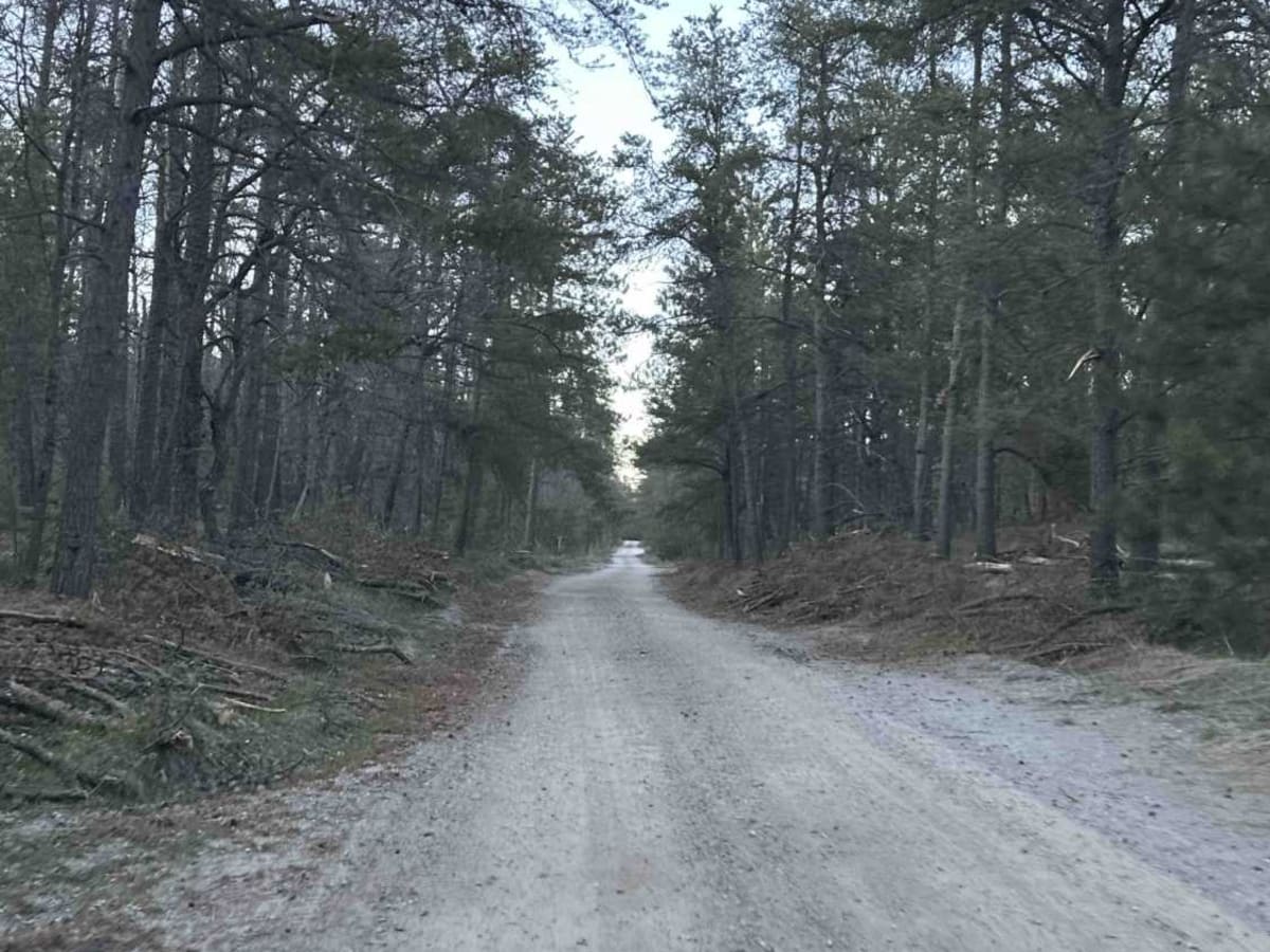 Bull Gap Hill Climb Area photo 5