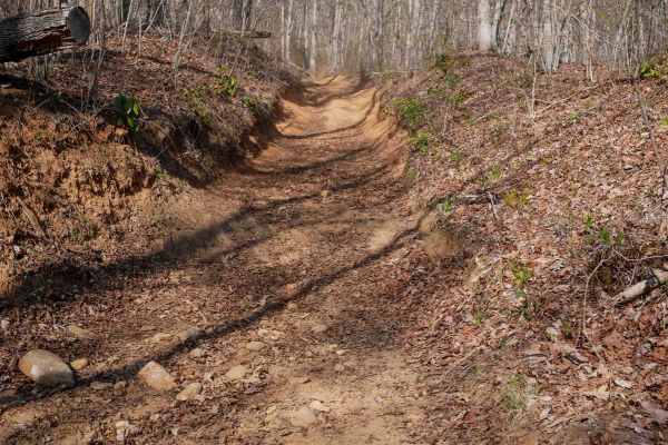 Black Mountain Trail 3