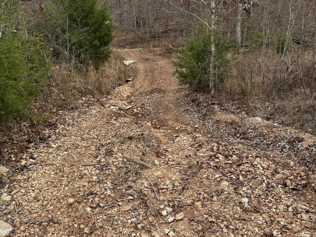 Yellow 205 trail photo