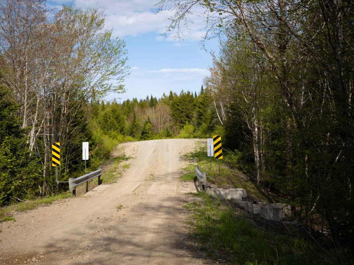White Car Trail photo 3