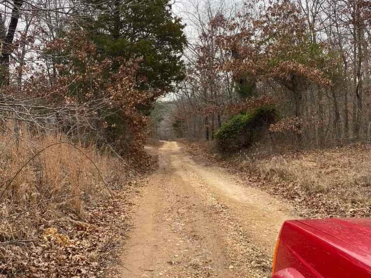 Rock Bottom Bo-Co Road 210 photo 3