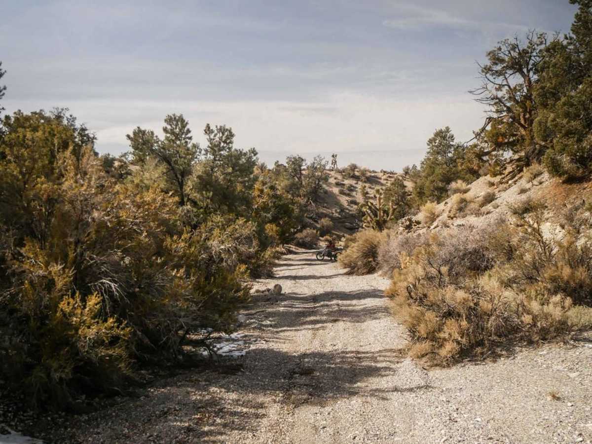 081 Bypass Trail photo 6