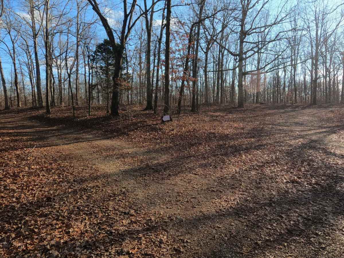 Old Silver Trail - FS 320 photo 2