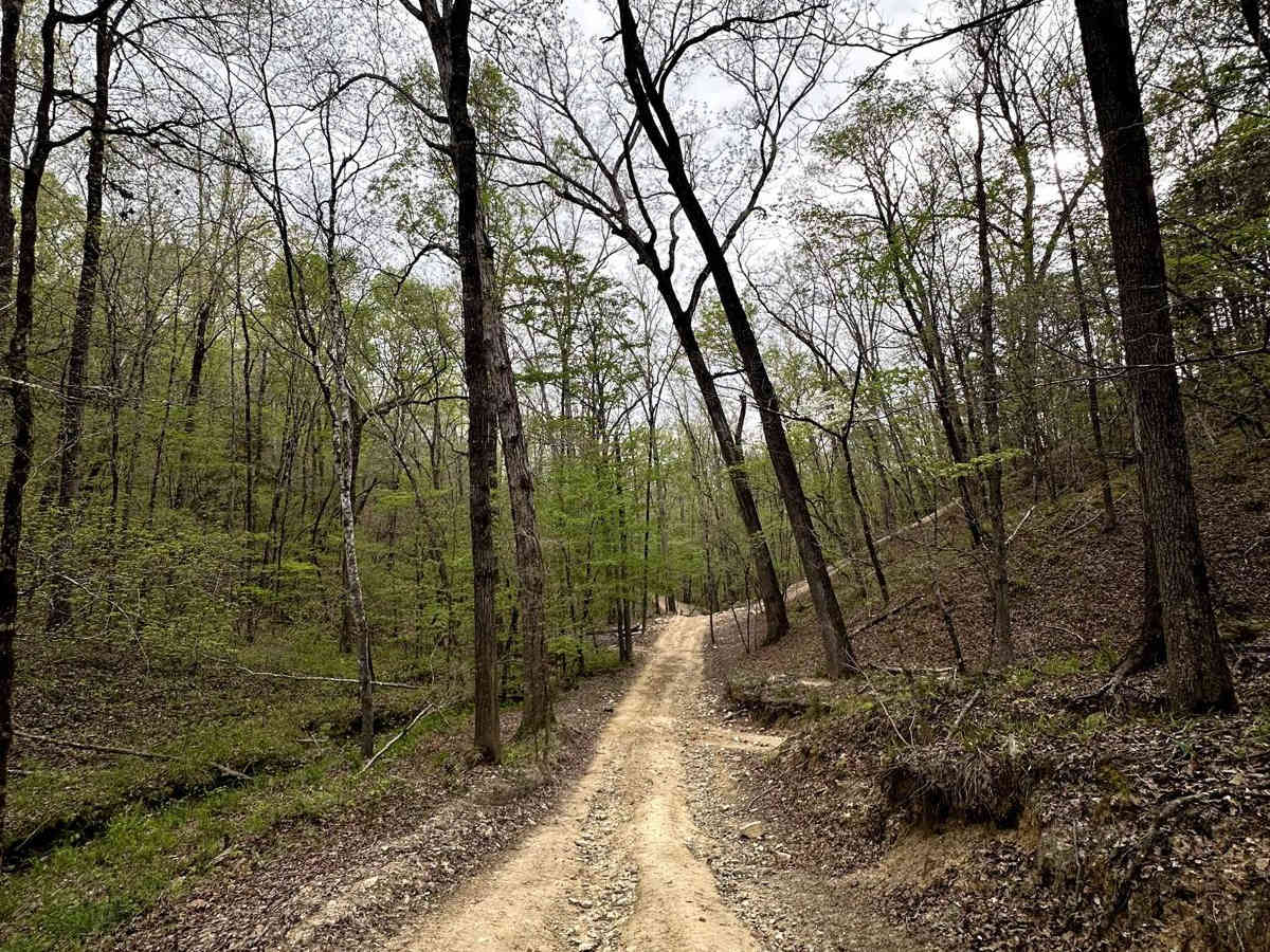 Trail 18 photo 3