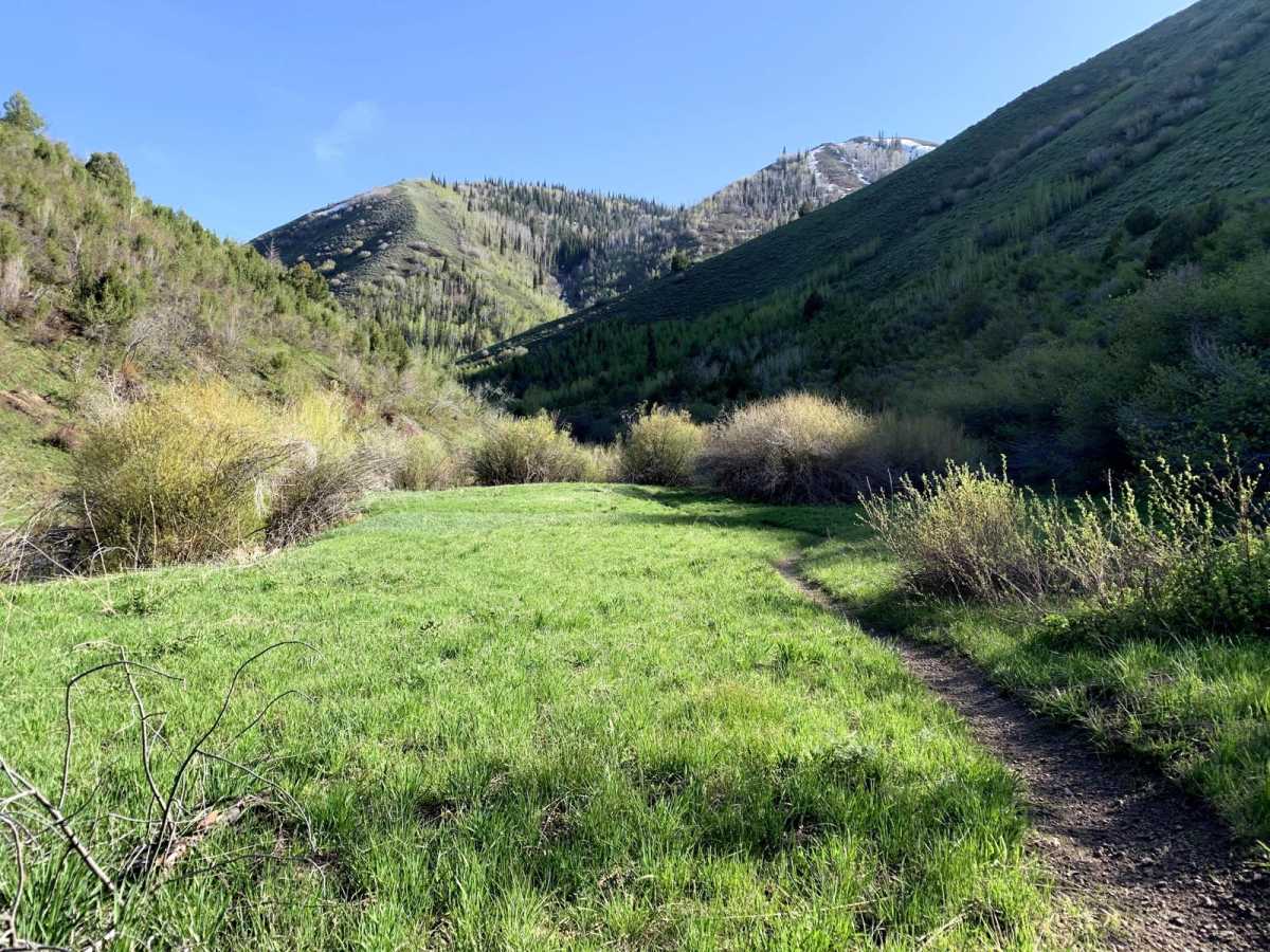 Third Fork photo 4