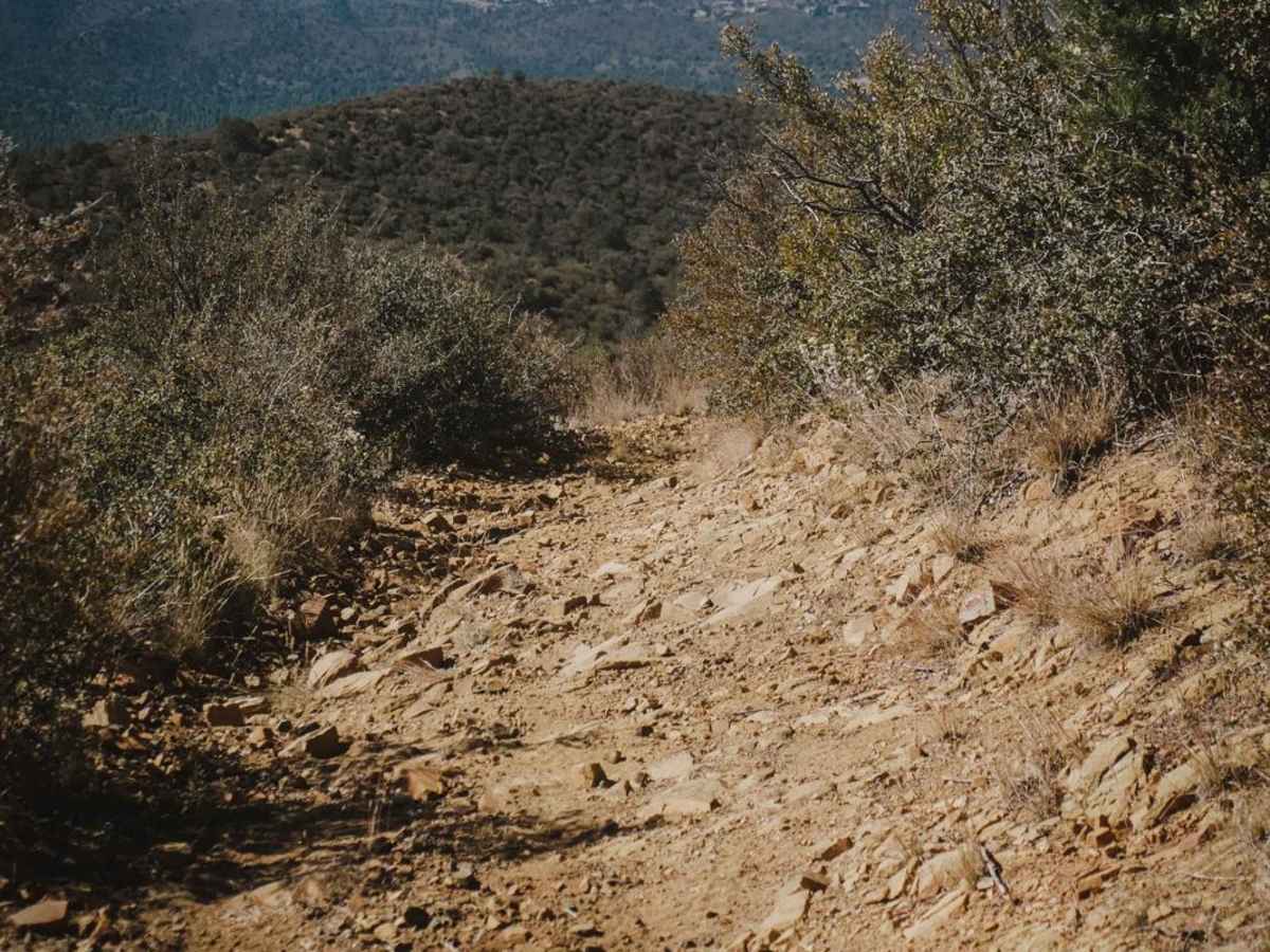 Prospectors trail photo