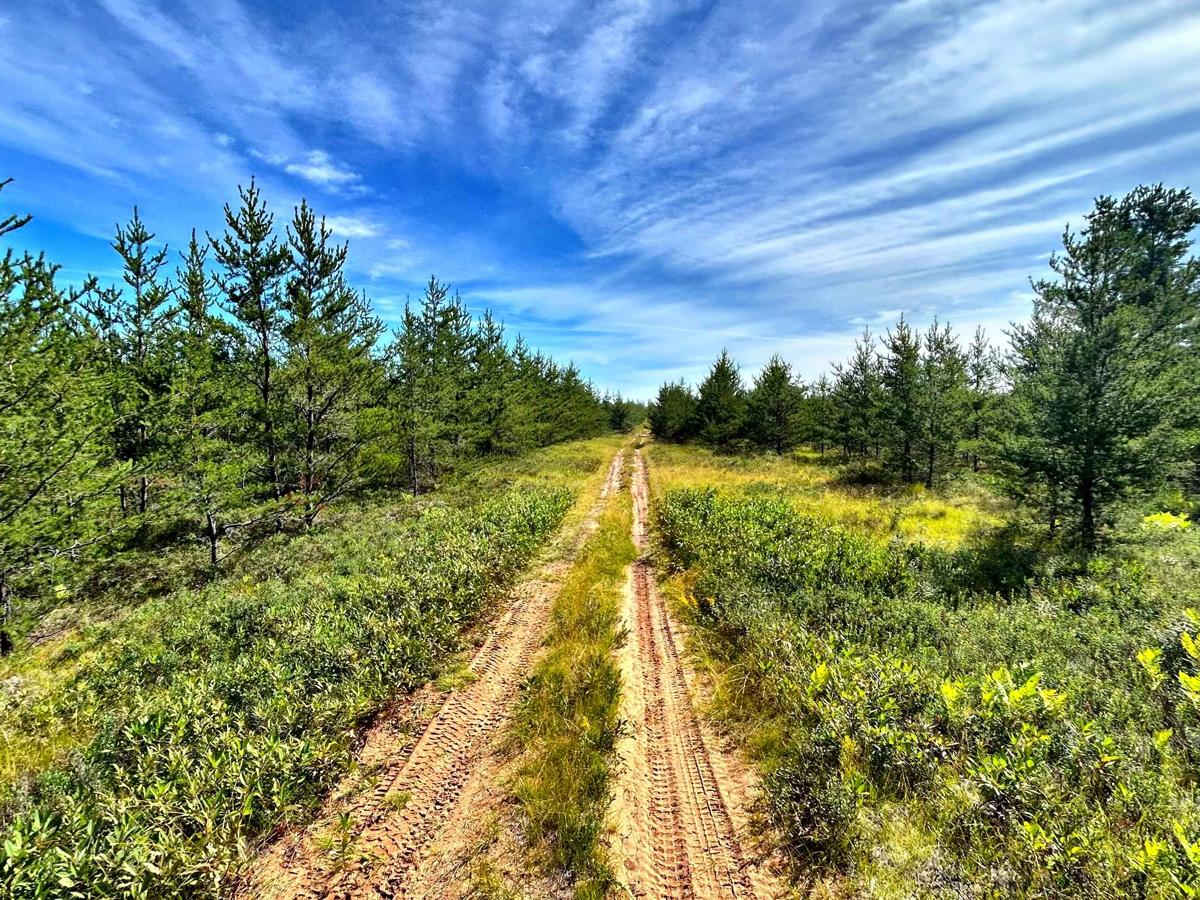 Baraga Plains South Loop photo 3