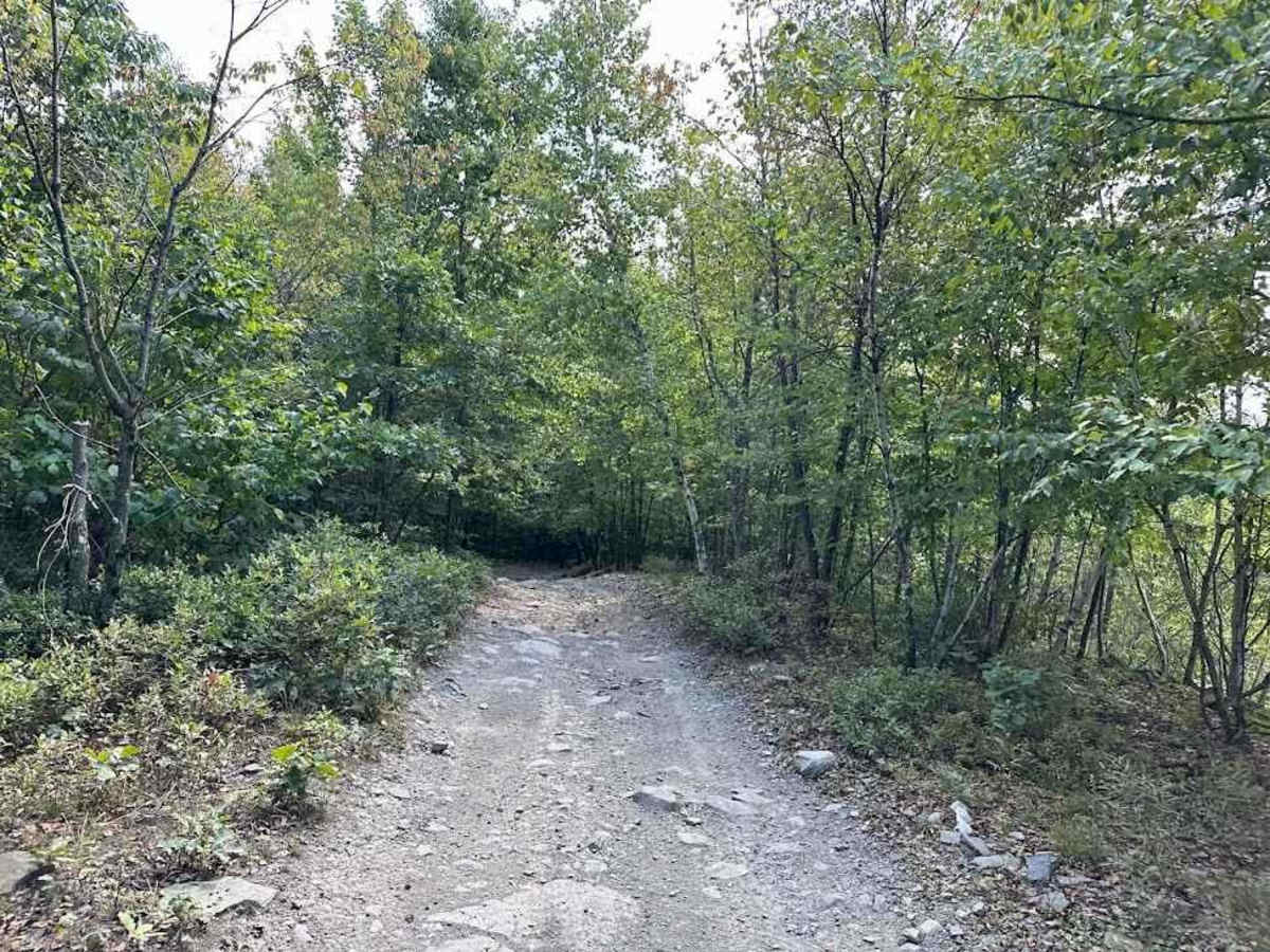 11 Blue trail photo