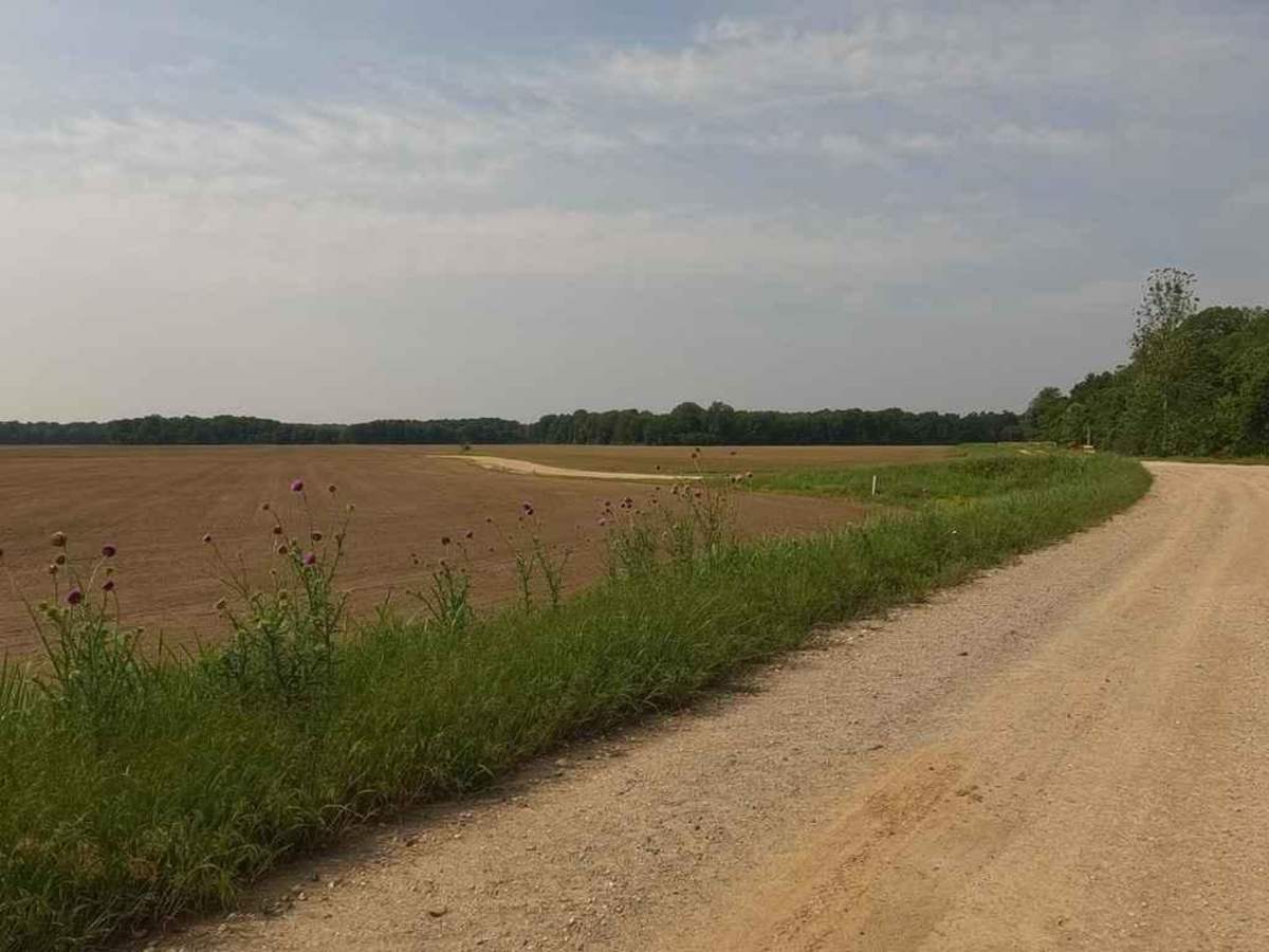 Thistle Bottoms trail photo