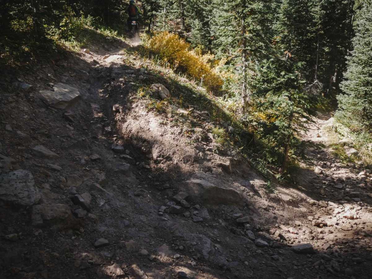 Grays Creek Trail photo 4