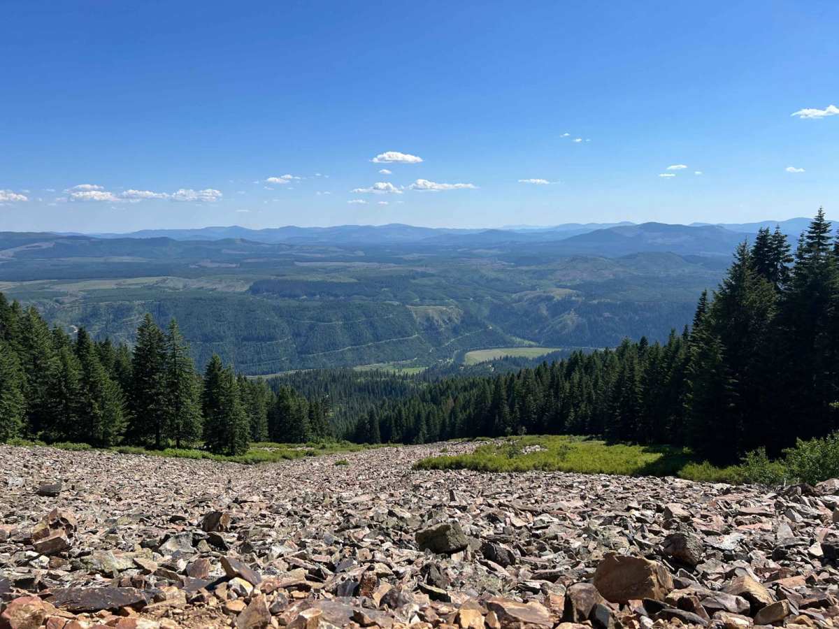 Cataldo to St. Joe Baldy trail photo