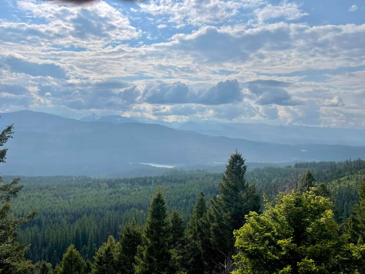 Richmond Ridge trail photo