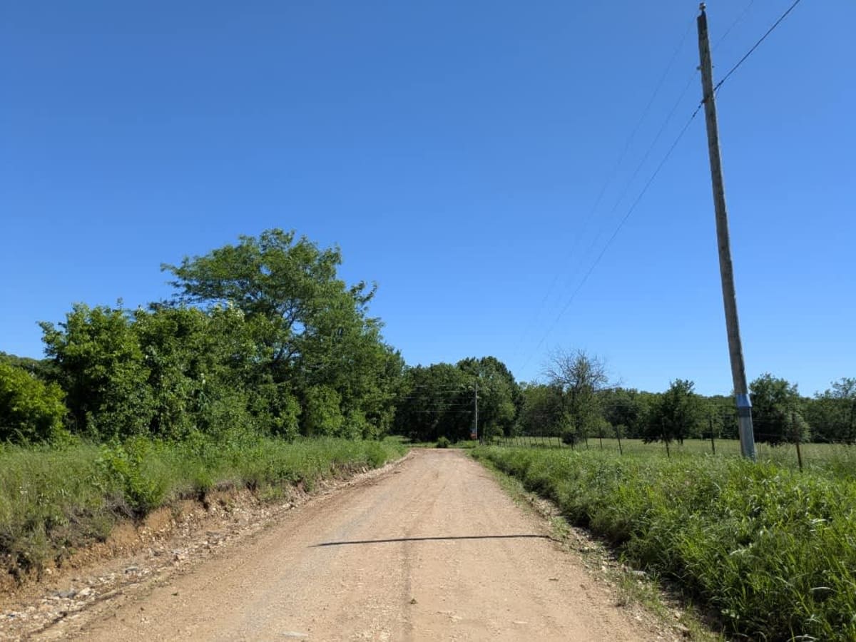 South 460 photo 2