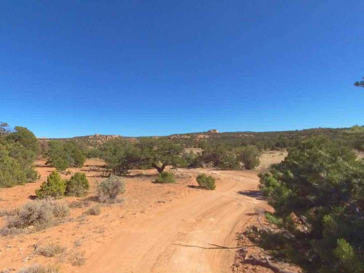 BLM D0153 - Farmhouse Ruins photo 3